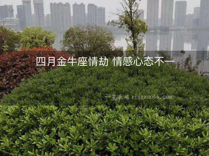 四月金牛座情劫 情感心態(tài)不一