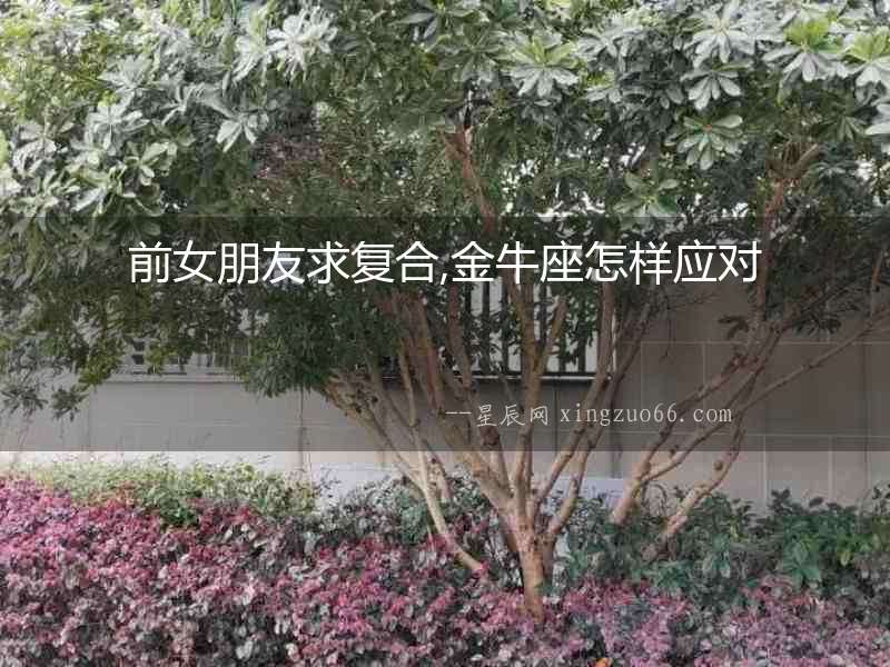 前女朋友求復(fù)合,金牛座怎樣應(yīng)對