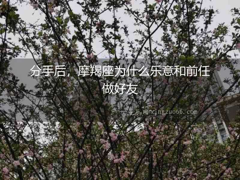 分手后，摩羯座為什么樂意和前任做好友