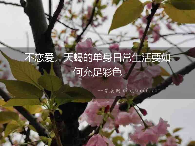 不戀愛，天蝎的單身日常生活要如何充足彩色