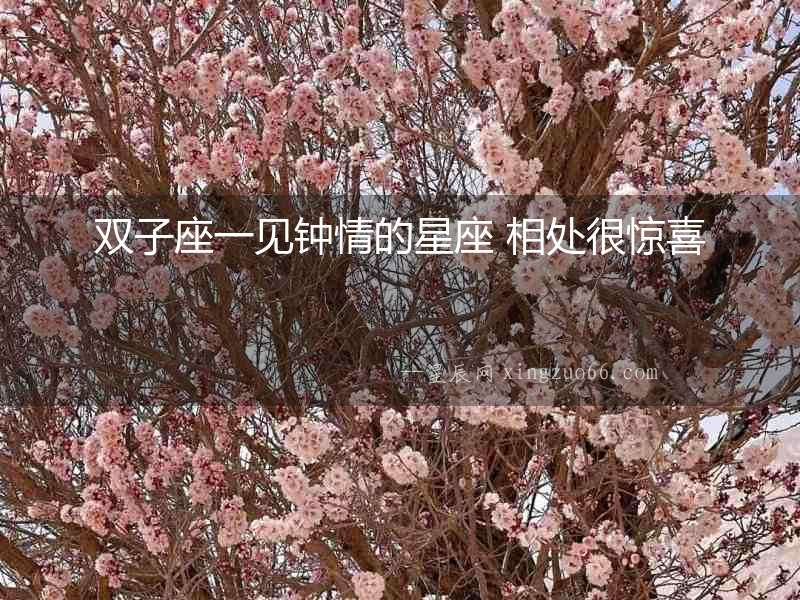 雙子座一見(jiàn)鐘情的星座 相處很驚喜