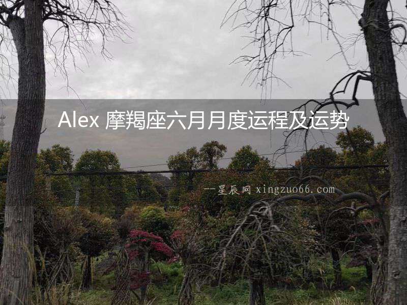 Alex 摩羯座六月月度運程及運勢