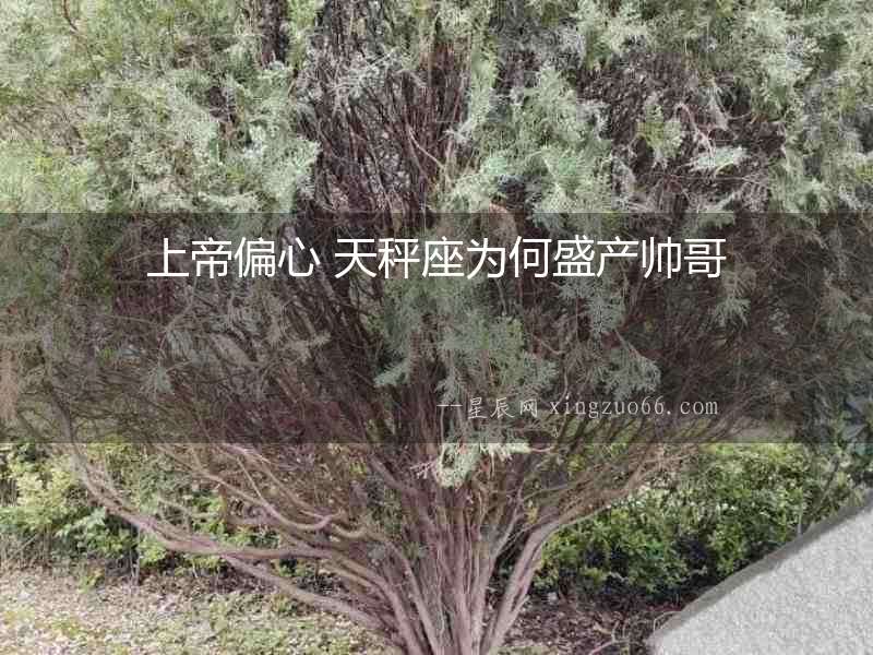 上帝偏心 天秤座為何盛產(chǎn)帥哥