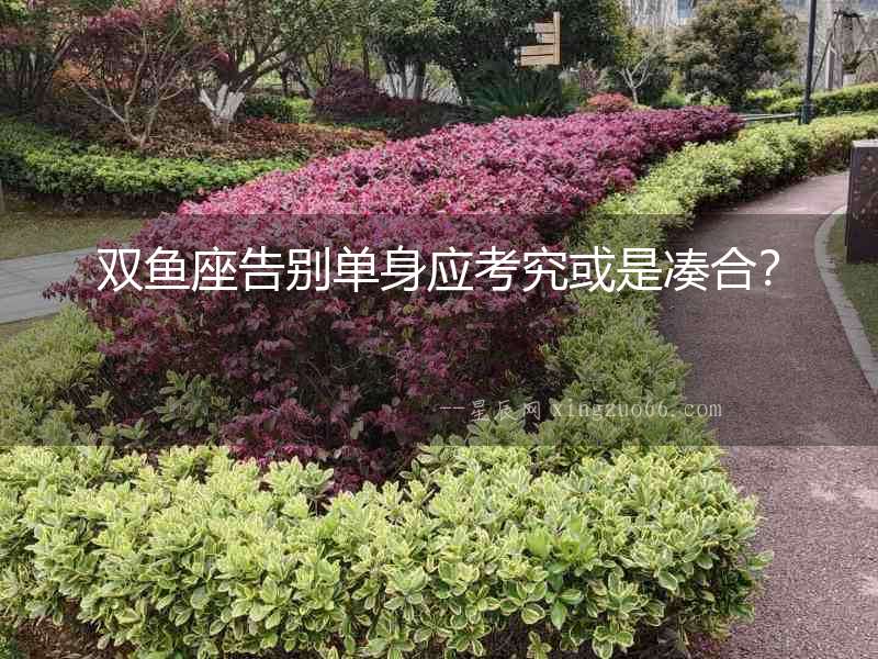 雙魚座告別單身應考究或是湊合？
