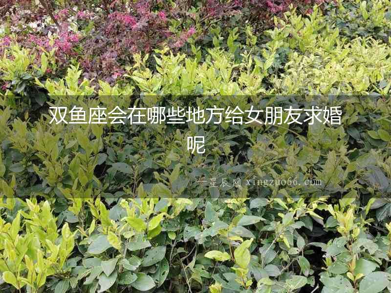 雙魚座會(huì)在哪些地方給女朋友求婚呢