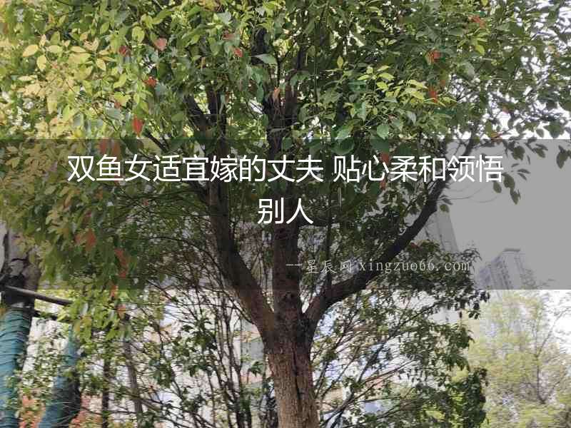 雙魚女適宜嫁的丈夫 貼心柔和領(lǐng)悟別人