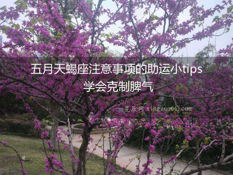 五月天蝎座注意事項的助運小tips 學(xué)會克制脾氣