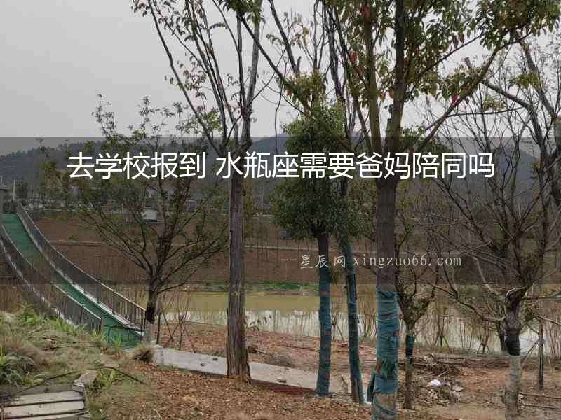 去學校報到 水瓶座需要爸媽陪同嗎