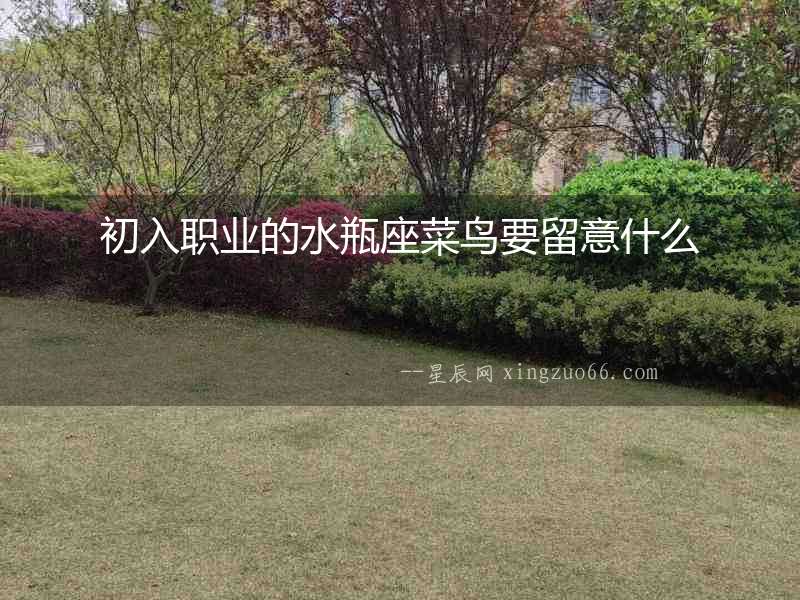 初入職業(yè)的水瓶座菜鳥要留意什么