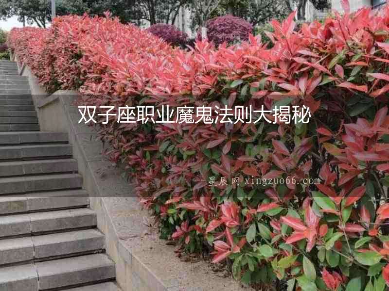 雙子座職業魔鬼法則大揭秘
