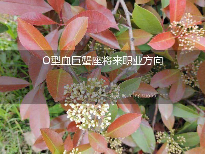 O型血巨蟹座將來職業(yè)方向