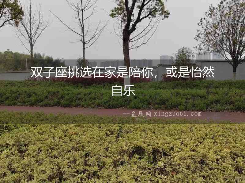 雙子座挑選在家是陪你，或是怡然自樂