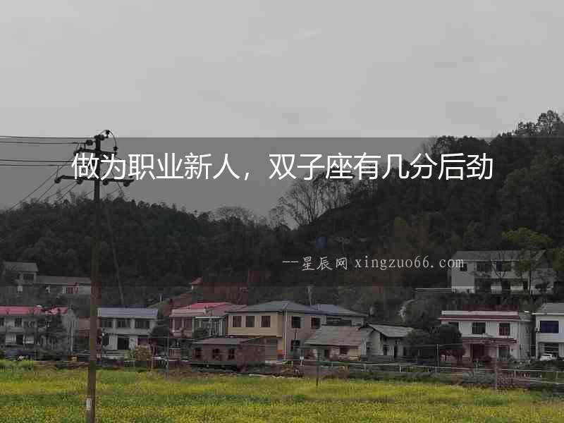 做為職業新人，雙子座有幾分后勁