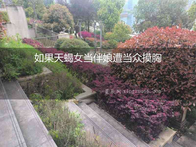 如果天蝎女當(dāng)伴娘遭當(dāng)眾摸胸