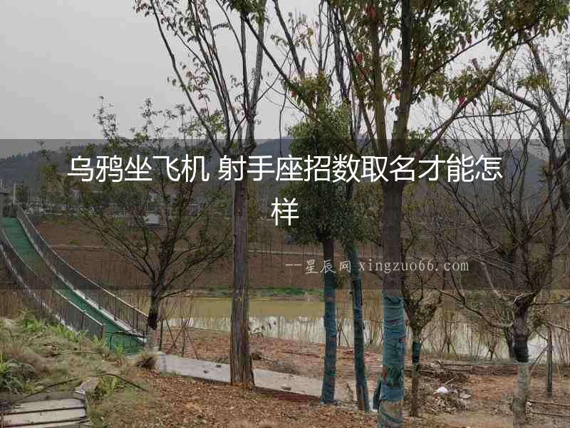 烏鴉坐飛機 射手座招數取名才能怎樣