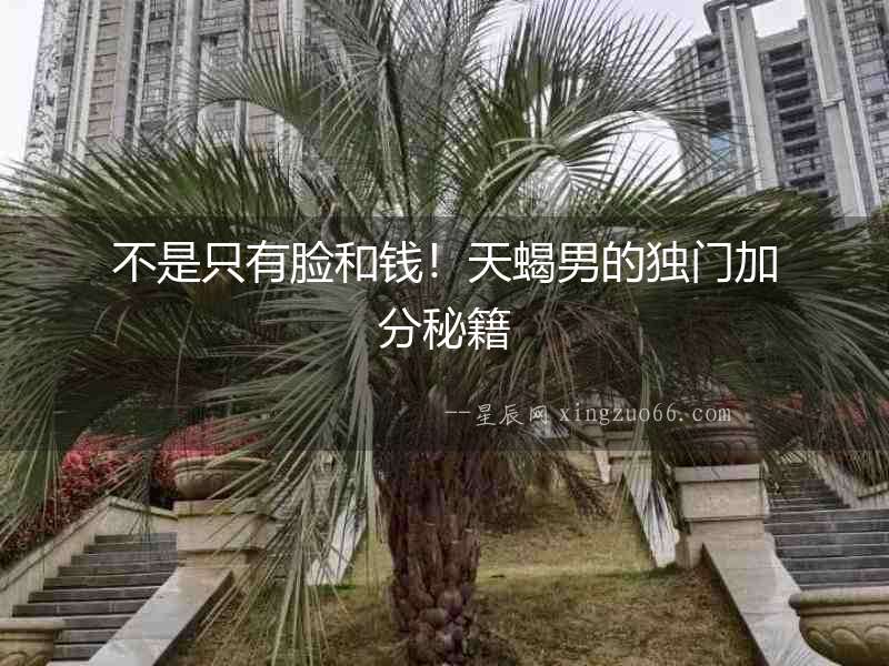 不是只有臉和錢！天蝎男的獨門加分秘籍