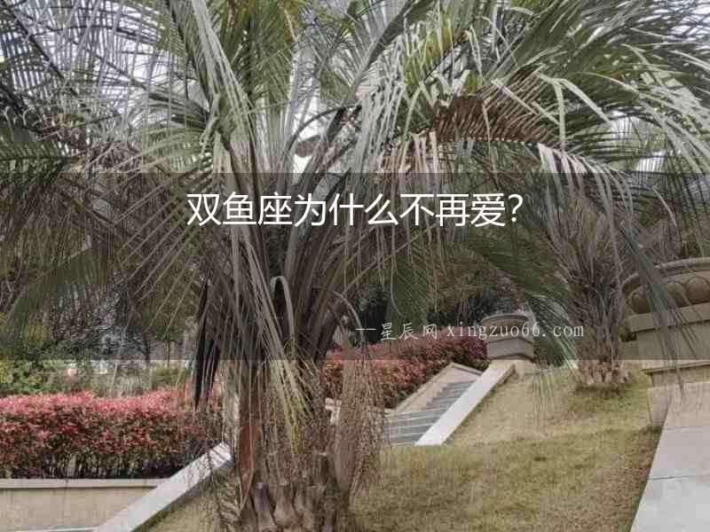 雙魚座為什么不再愛？