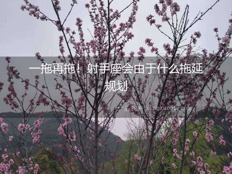 一拖再拖！射手座會由于什么拖延規劃