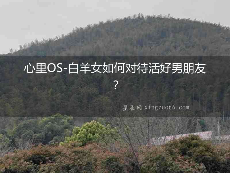 心里OS-白羊女如何對待活好男朋友？