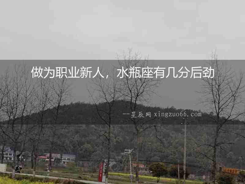 做為職業(yè)新人，水瓶座有幾分后勁