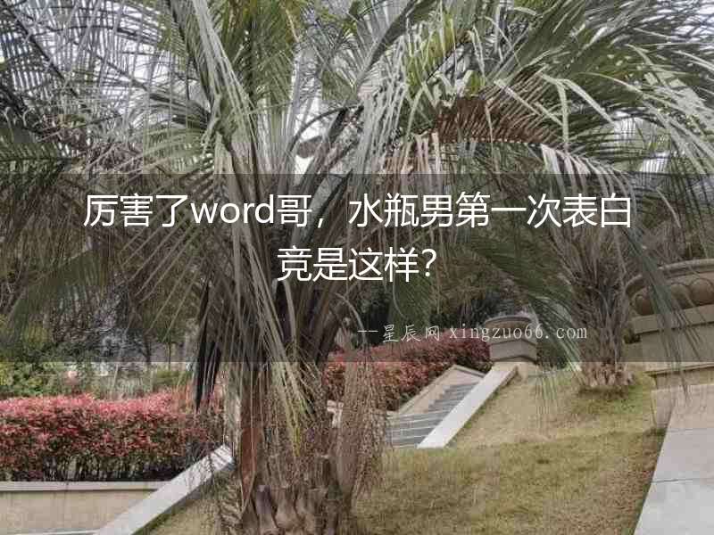 厲害了word哥，水瓶男第一次表白競是這樣？
