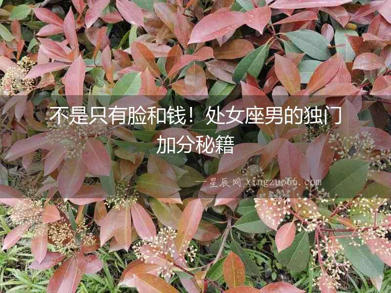 不是只有臉和錢！處女座男的獨門加分秘籍