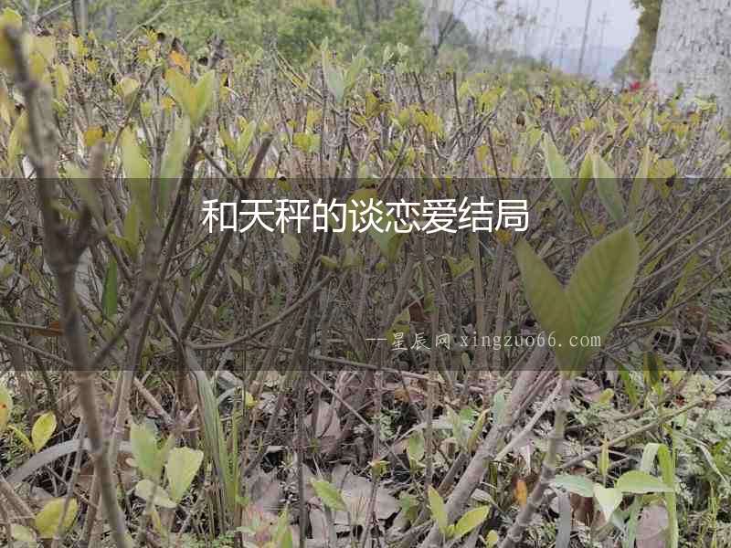 和天秤的談戀愛結(jié)局