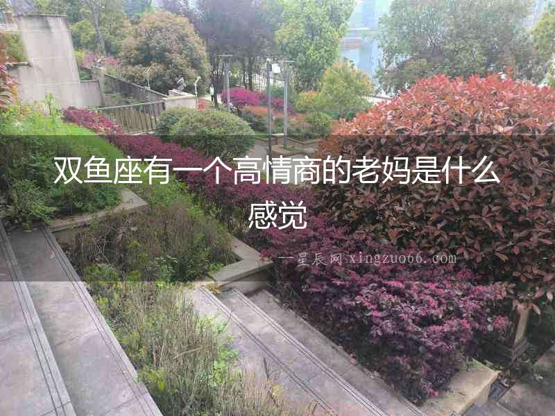雙魚座有一個高情商的老媽是什么感覺