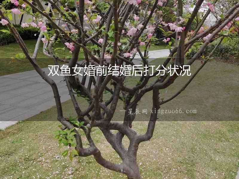 雙魚女婚前結婚后打分狀況