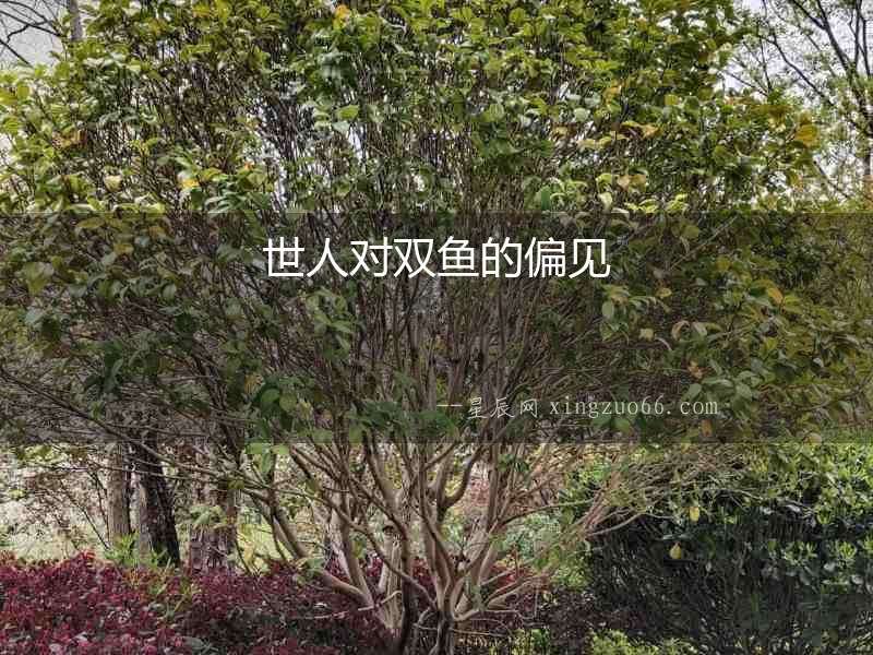 世人對雙魚的偏見