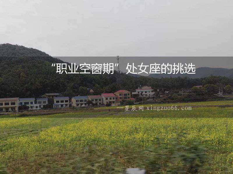 “職業(yè)空窗期”處女座的挑選