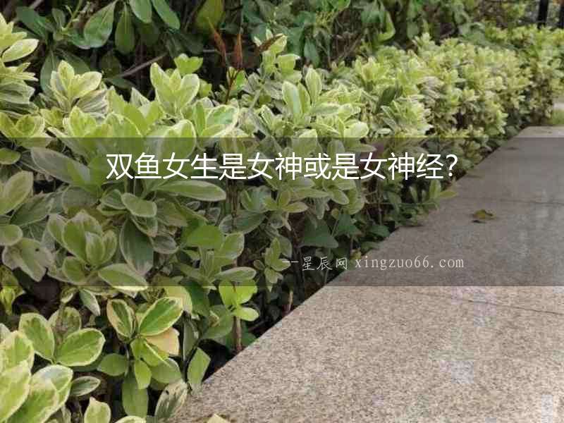 雙魚女生是女神或是女神經？
