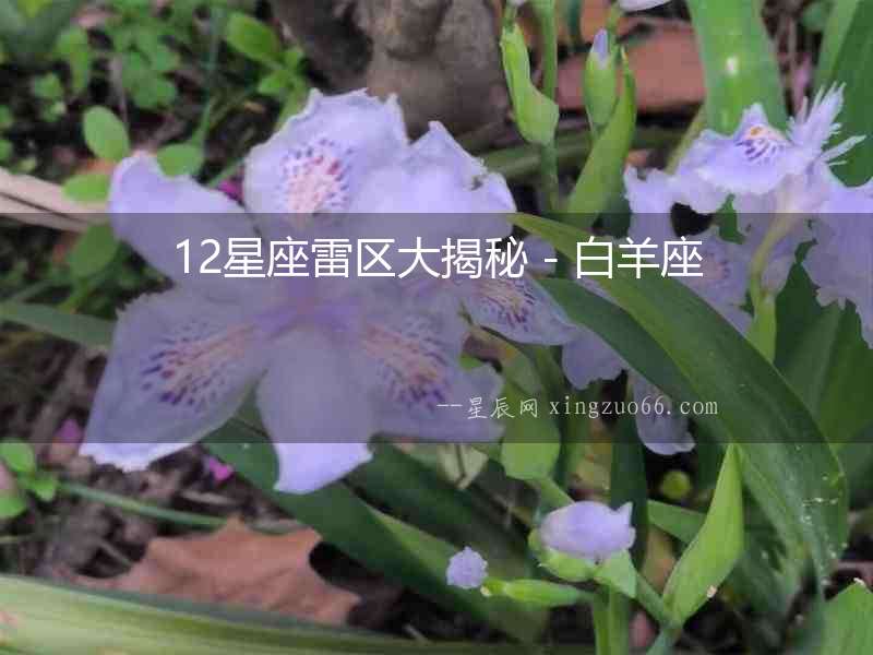 12星座雷區(qū)大揭秘 - 白羊座