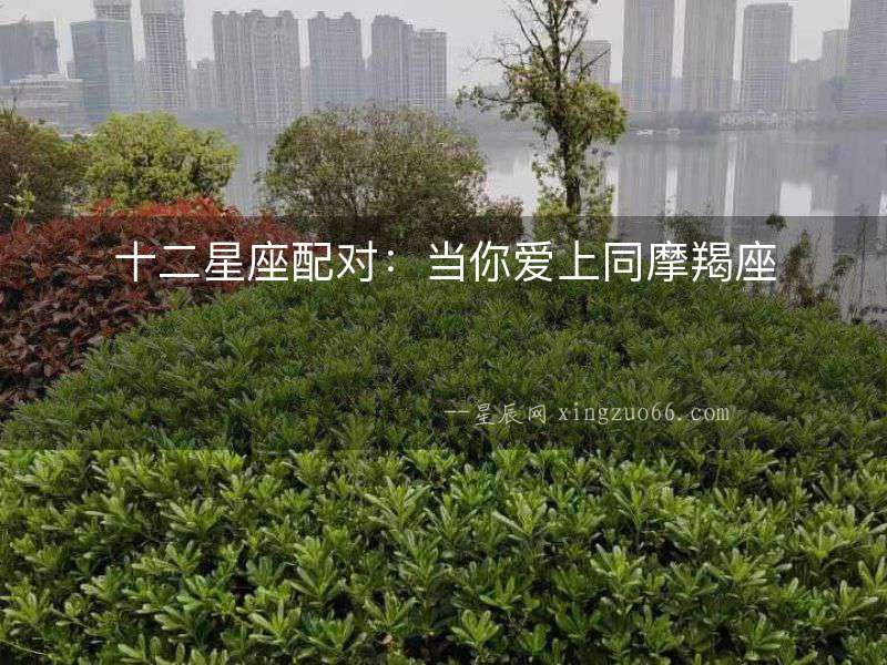 十二星座配對：當你愛上同摩羯座