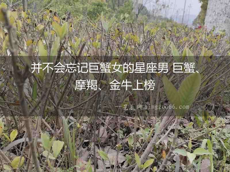 并不會(huì)忘記巨蟹女的星座男 巨蟹、摩羯、金牛上榜