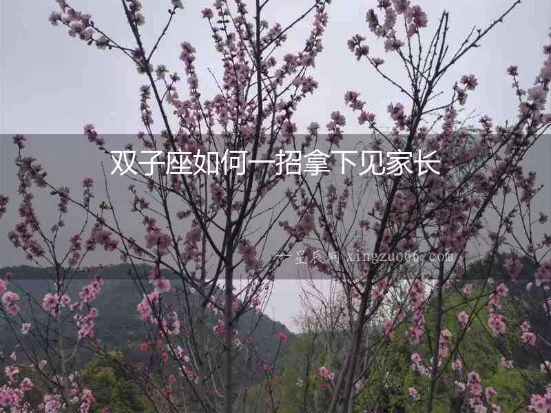 雙子座如何一招拿下見家長(zhǎng)