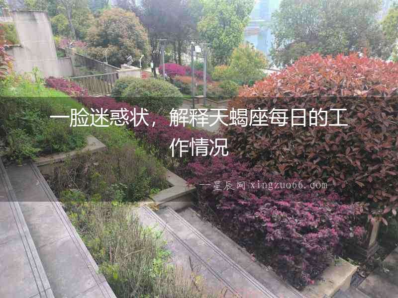 一臉迷惑狀，解釋天蝎座每日的工作情況