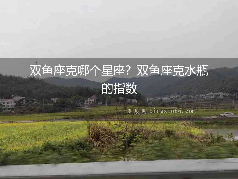 雙魚座克哪個星座？雙魚座克水瓶的指數