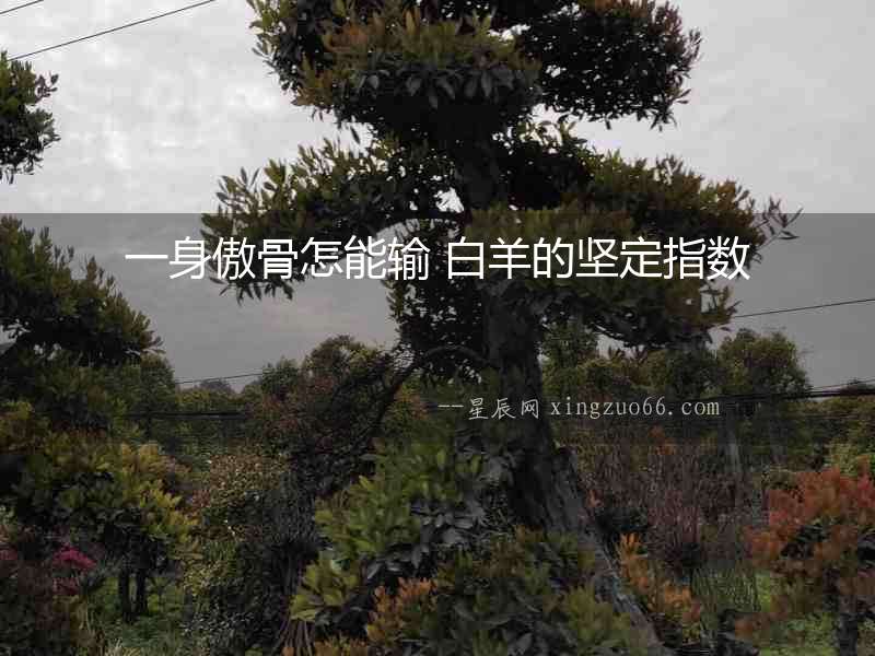 一身傲骨怎能輸 白羊的堅定指數
