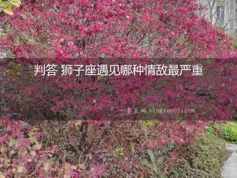 判答 獅子座遇見哪種情敵最嚴重