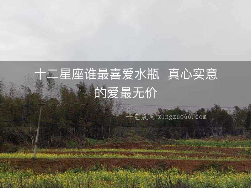 十二星座誰最喜愛水瓶  真心實(shí)意的愛最無價(jià)