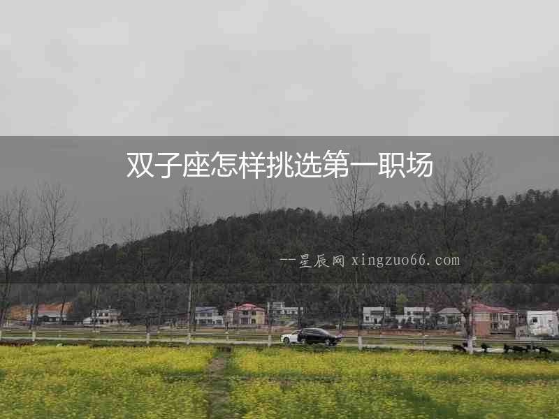 雙子座怎樣挑選第一職場