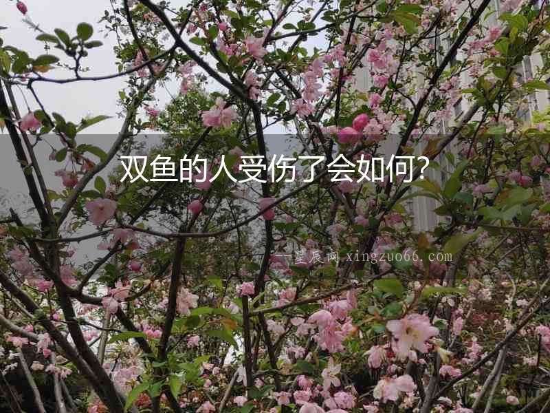 雙魚的人受傷了會(huì)如何？