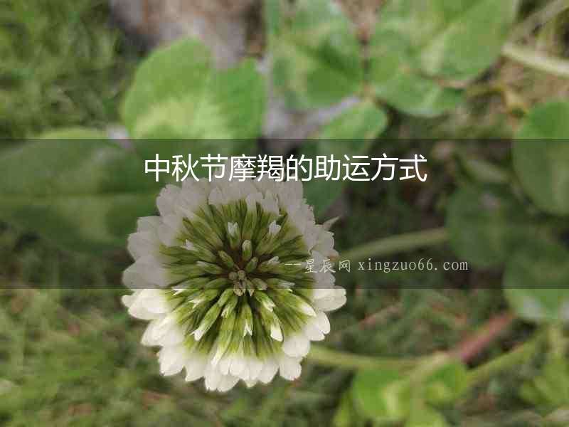 中秋節(jié)摩羯的助運方式