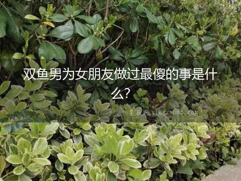 雙魚男為女朋友做過最傻的事是什么？