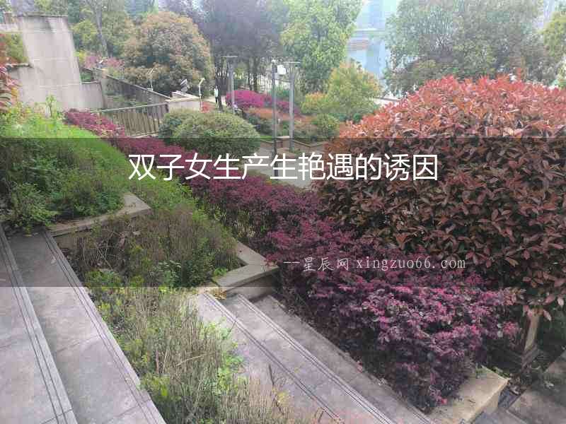 雙子女生產生艷遇的誘因