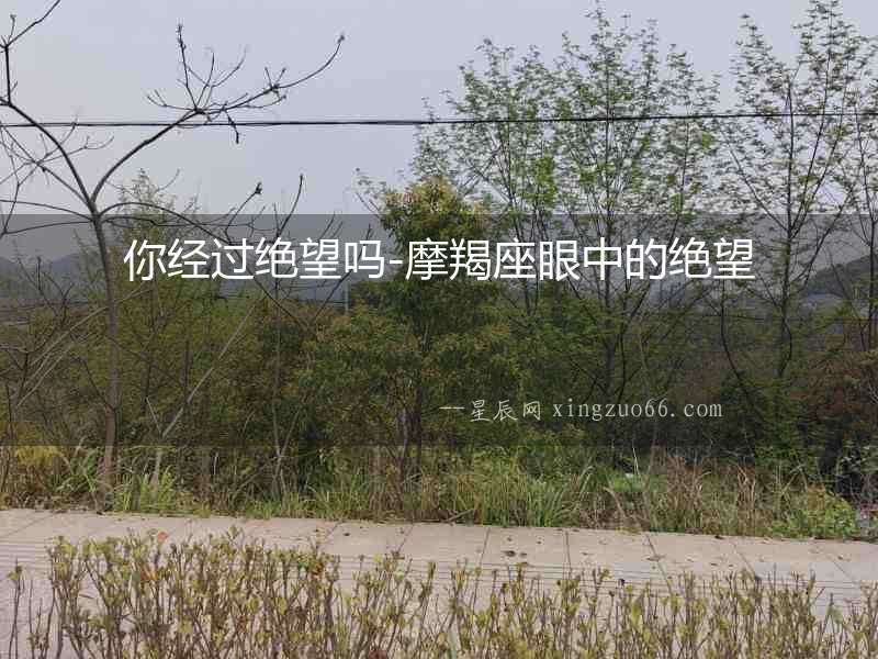 你經(jīng)過絕望嗎-摩羯座眼中的絕望