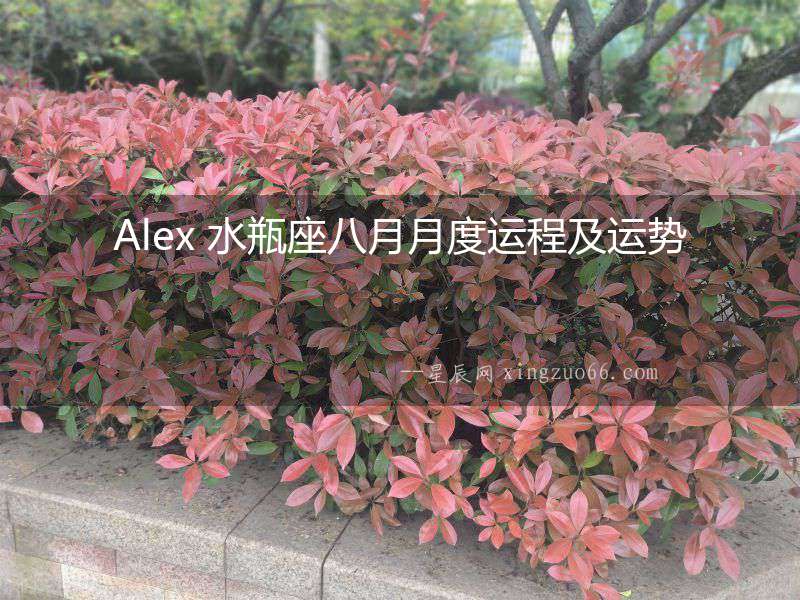 Alex 水瓶座八月月度運(yùn)程及運(yùn)勢(shì)