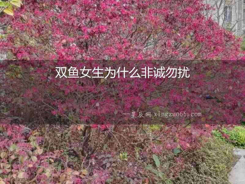 雙魚女生為什么非誠勿擾