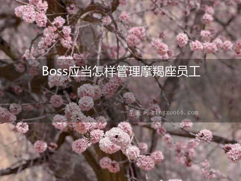 Boss應(yīng)當(dāng)怎樣管理摩羯座員工
